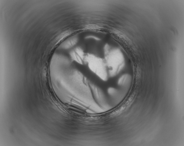 X0000111211401200907291241