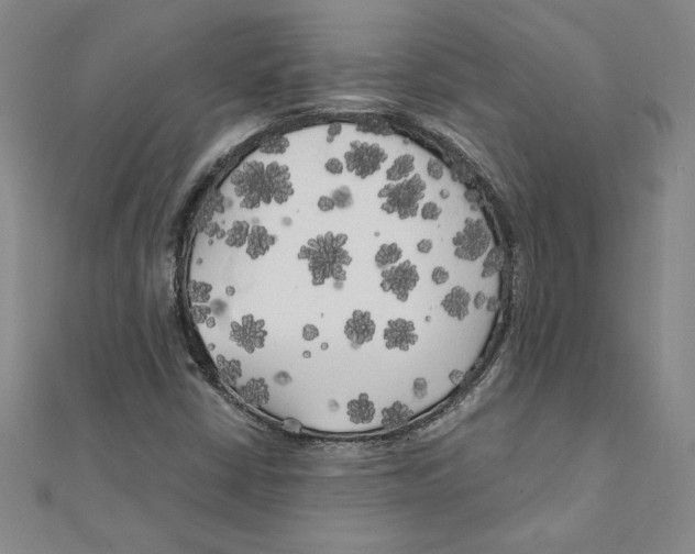 X0000111211402200907291241