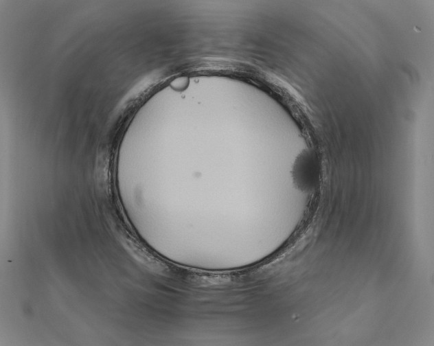 X0000111211403200907291241