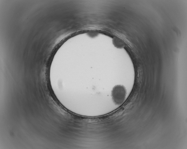 X0000111211404200907291241