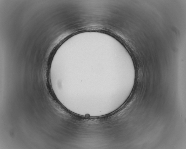 X0000111211410200907291242