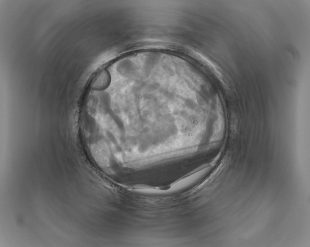 X0000111211411200907291242