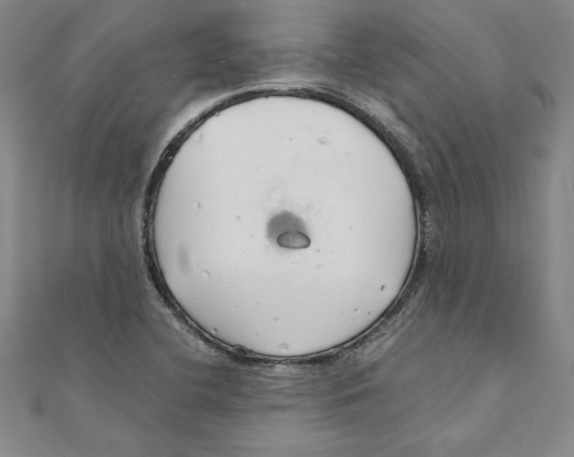 X0000111211412200907291242