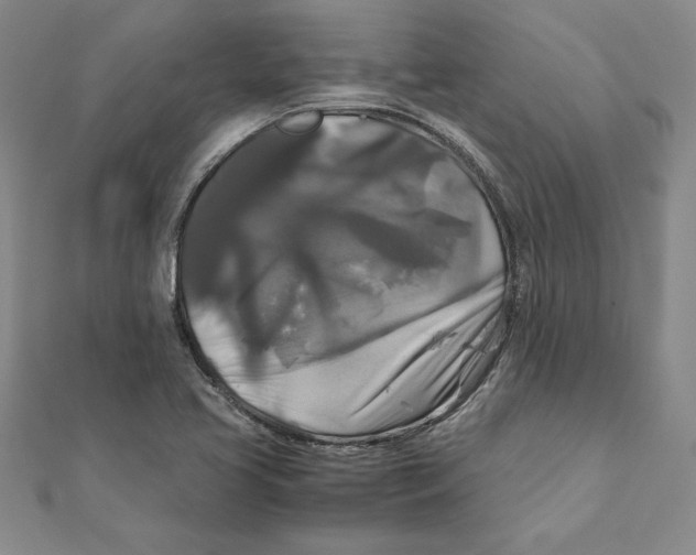 X0000111211413200907291242