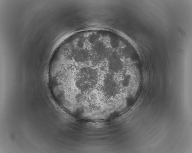 X0000111211415200907291242