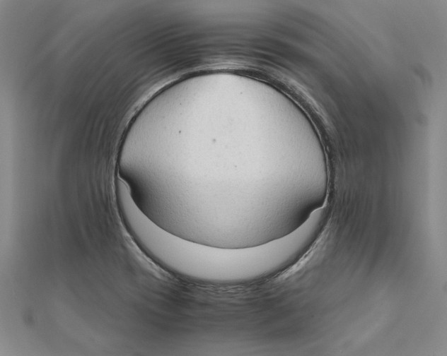 X0000111211417200907291242