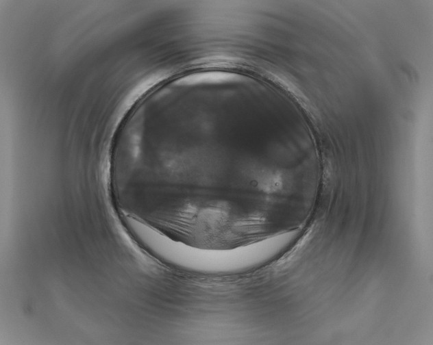 X0000111211418200907291242