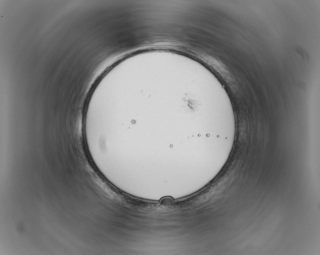 X0000111211420200907291242