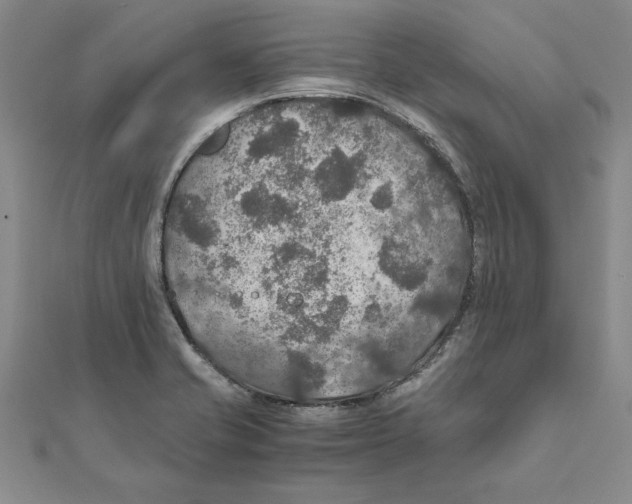 X0000111211421200907291242