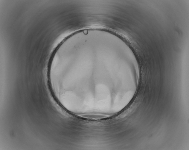 X0000111211422200907291242