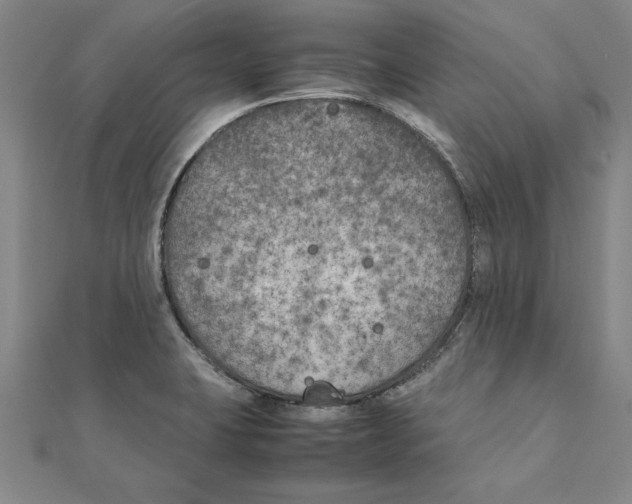 X0000111211423200907291242