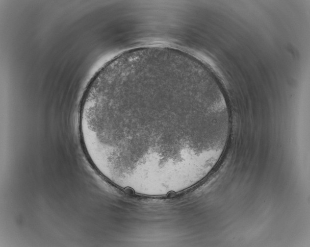 X0000111211424200907291242