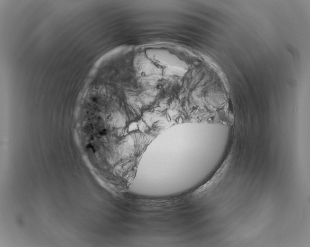 X0000111211425200907291242