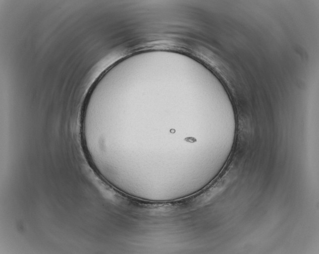 X0000111211426200907291242