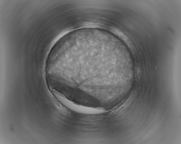 X0000111211427200907291242