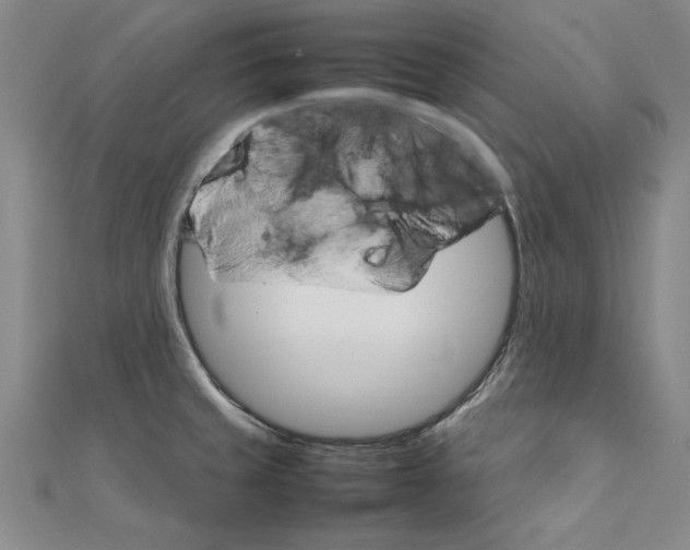 X0000111211429200907291242