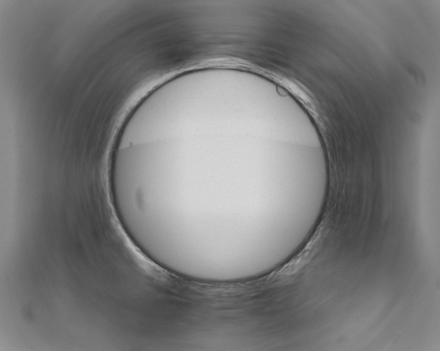 X0000111211430200907291242