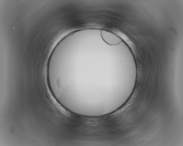 X0000111211431200907291242