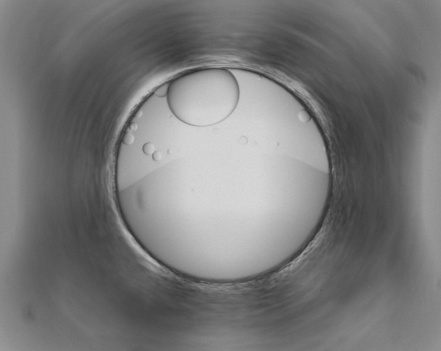 X0000111211432200907291242