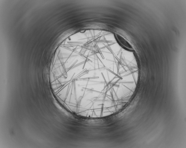 X0000111211433200907291242