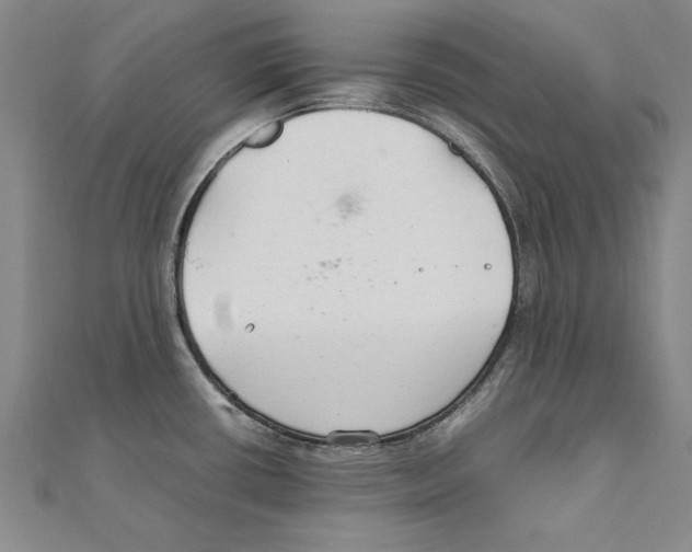 X0000111211434200907291242