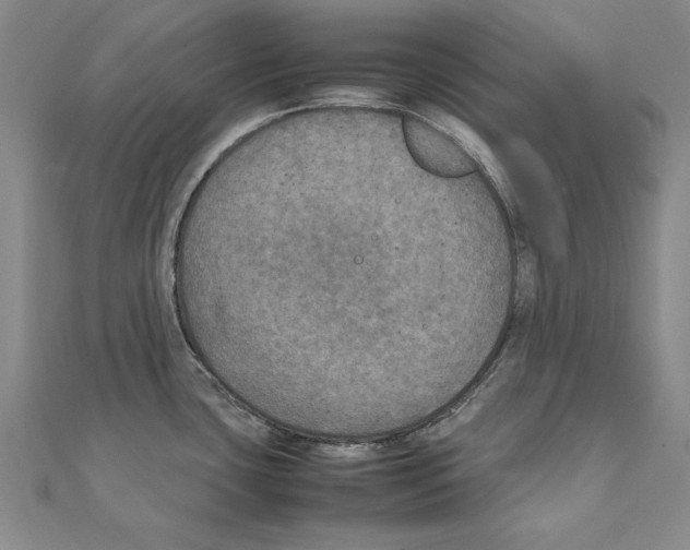 X0000111211435200907291242