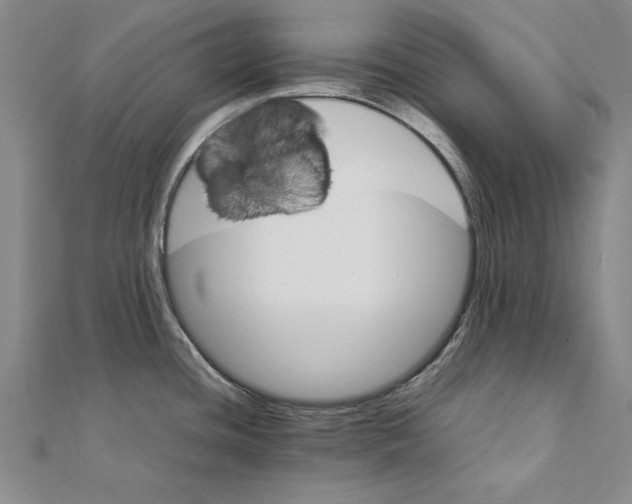 X0000111211436200907291242