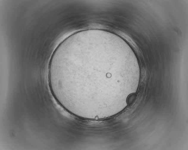 X0000111211439200907291242