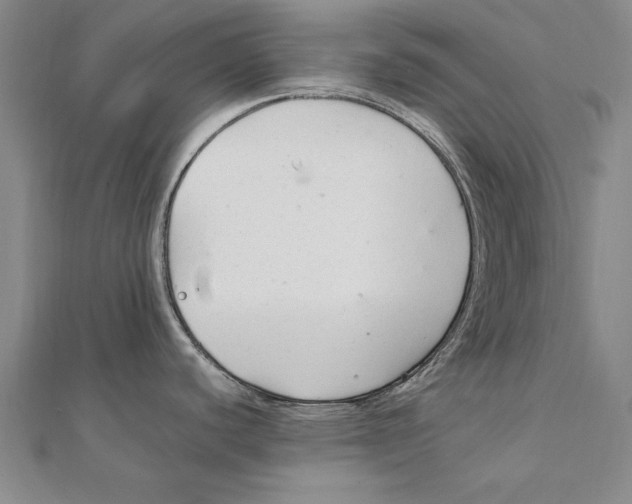 X0000111211440200907291242