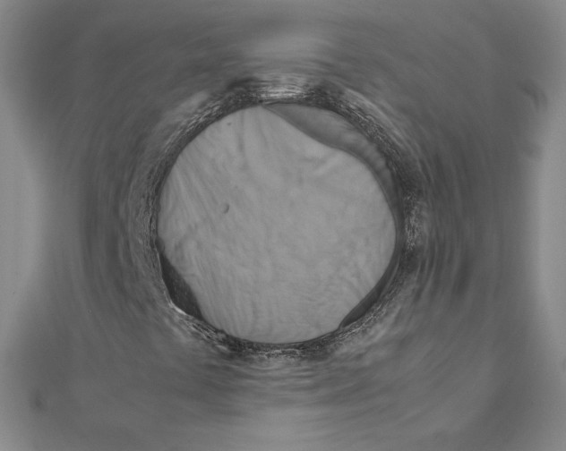 X0000111211441200907291241