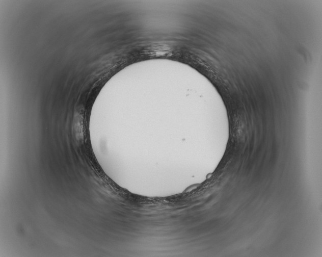 X0000111211442200907291241