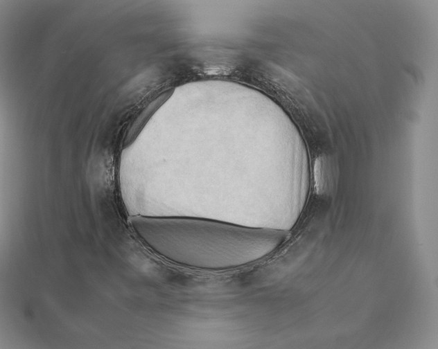 X0000111211443200907291241