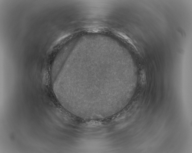 X0000111211446200907291241