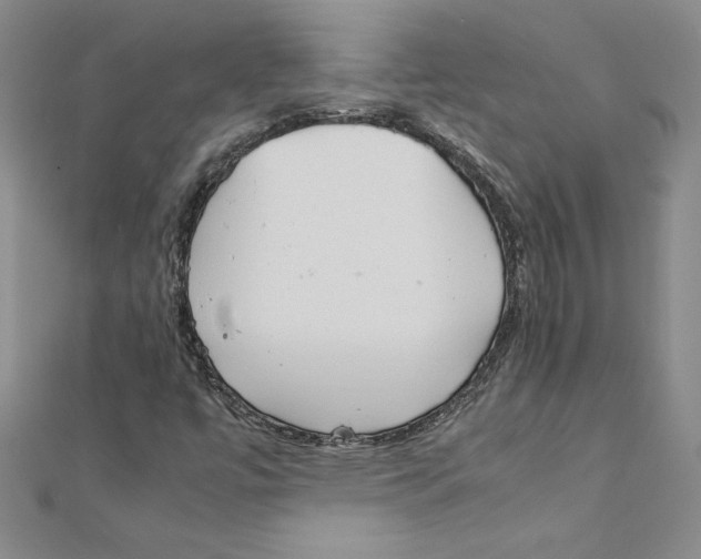 X0000111211447200907291241