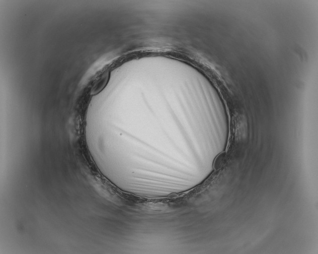 X0000111211448200907291241