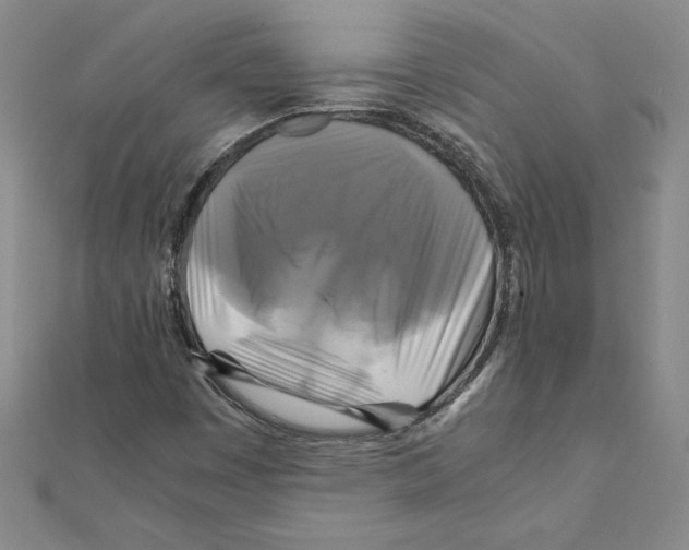 X0000111211449200907291241