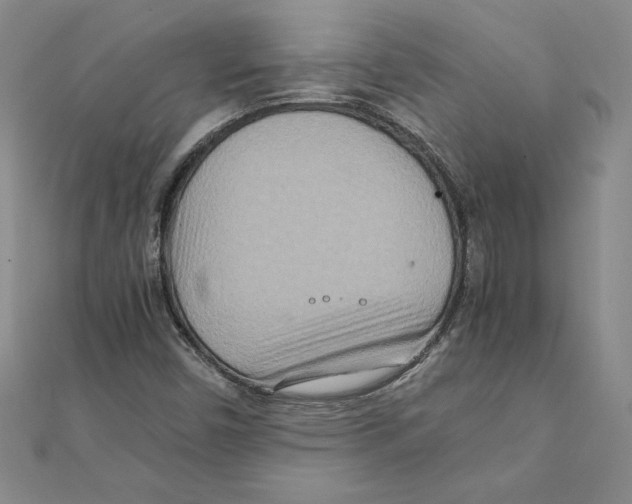 X0000111211450200907291241