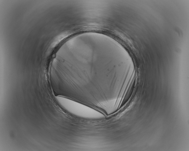 X0000111211453200907291241