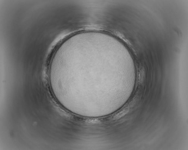 X0000111211454200907291241