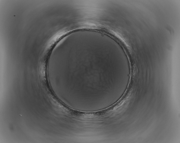 X0000111211455200907291241