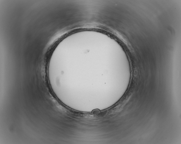 X0000111211456200907291241