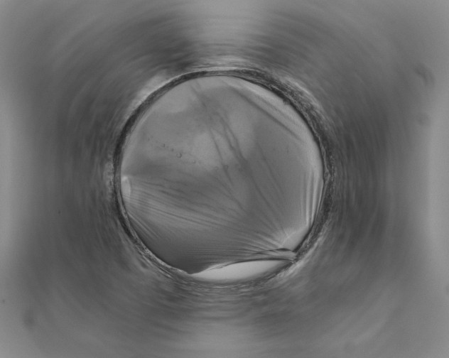 X0000111211457200907291241