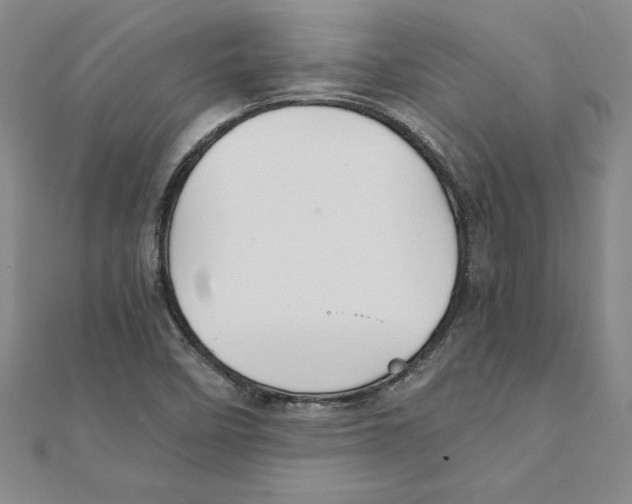 X0000111211458200907291241