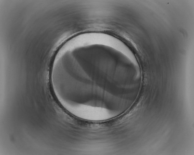 X0000111211459200907291241