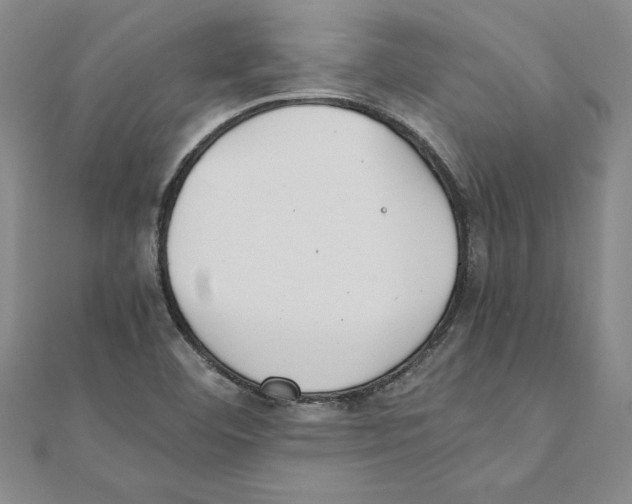 X0000111211460200907291241