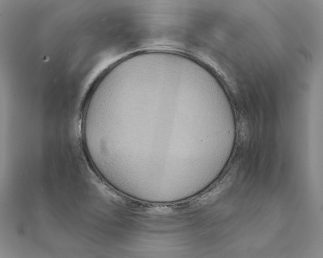 X0000111211462200907291241