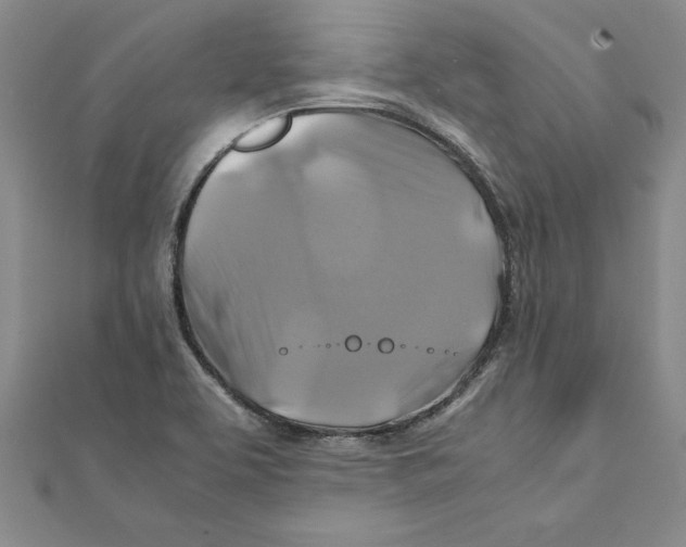 X0000111211463200907291241