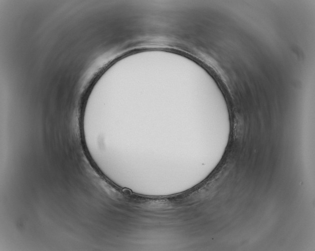 X0000111211464200907291241