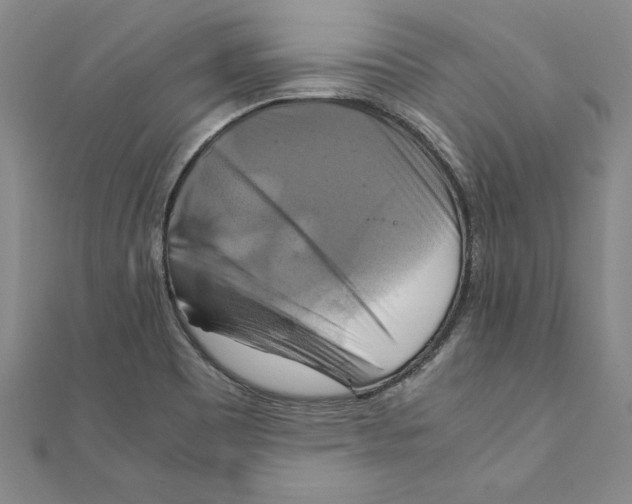 X0000111211465200907291241