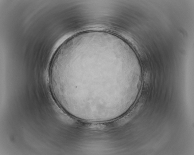 X0000111211466200907291241